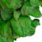 20" Lush Green Preserved Leaf Spring Garden Wreath